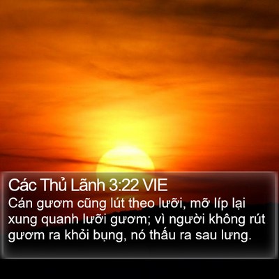 Các Thủ Lãnh 3:22 VIE Bible Verse Image
