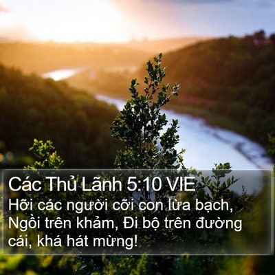 Các Thủ Lãnh 5:10 VIE Bible Verse Image