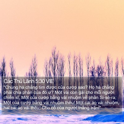 Các Thủ Lãnh 5:30 VIE Bible Verse Image