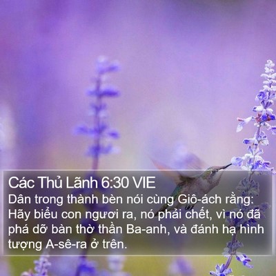 Các Thủ Lãnh 6:30 VIE Bible Verse Image