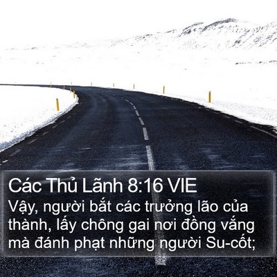 Các Thủ Lãnh 8:16 VIE Bible Verse Image