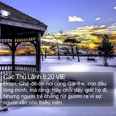 Các Thủ Lãnh 8:20 VIE Bible Verse Image