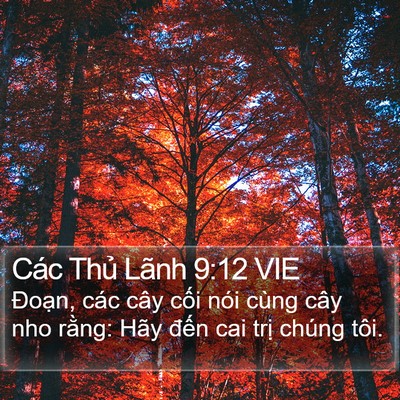 Các Thủ Lãnh 9:12 VIE Bible Verse Image