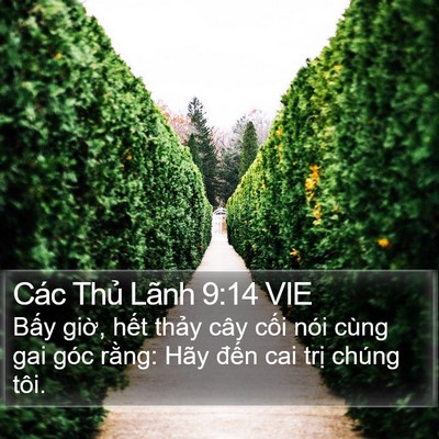 Các Thủ Lãnh 9:14 VIE Bible Verse Image