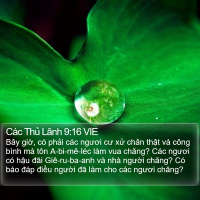 Các Thủ Lãnh 9:16 VIE Bible Verse Image