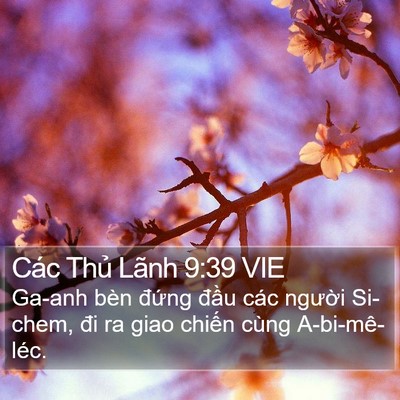 Các Thủ Lãnh 9:39 VIE Bible Verse Image