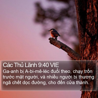 Các Thủ Lãnh 9:40 VIE Bible Verse Image