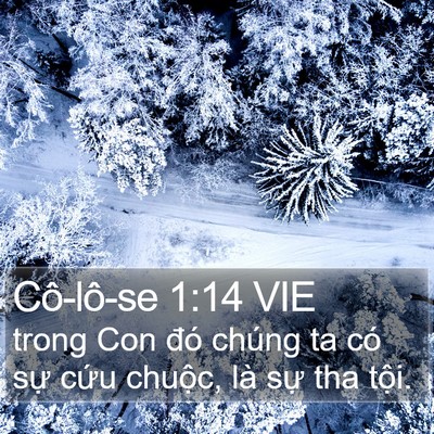 Cô-lô-se 1:14 VIE Bible Verse Image