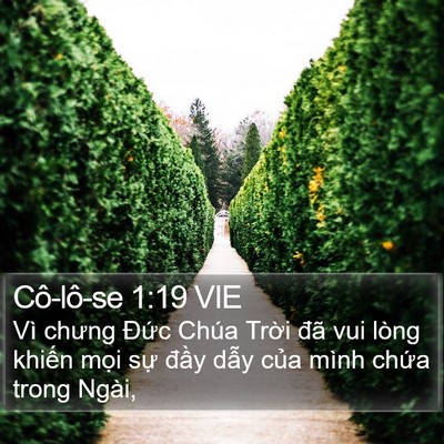 Cô-lô-se 1:19 VIE Bible Verse Image
