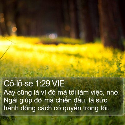 Cô-lô-se 1:29 VIE Bible Verse Image