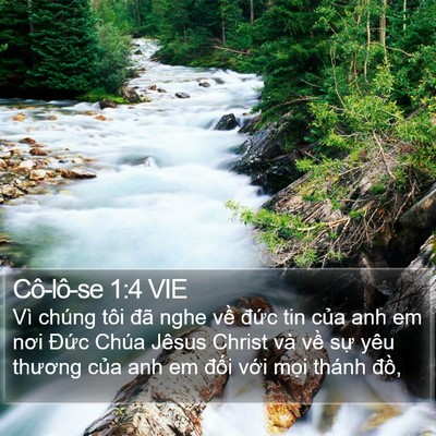 Cô-lô-se 1:4 VIE Bible Verse Image
