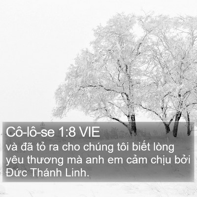 Cô-lô-se 1:8 VIE Bible Verse Image