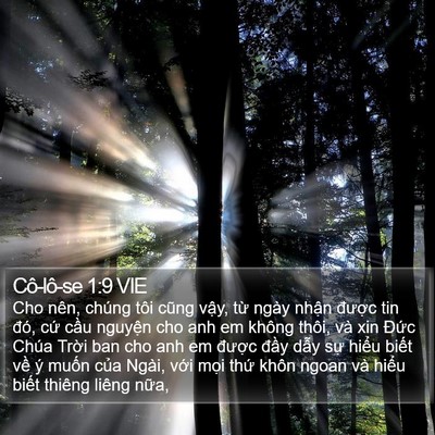 Cô-lô-se 1:9 VIE Bible Verse Image