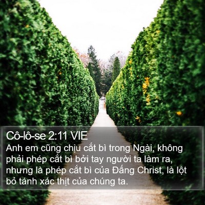 Cô-lô-se 2:11 VIE Bible Verse Image