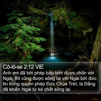 Cô-lô-se 2:12 VIE Bible Verse Image