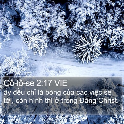 Cô-lô-se 2:17 VIE Bible Verse Image