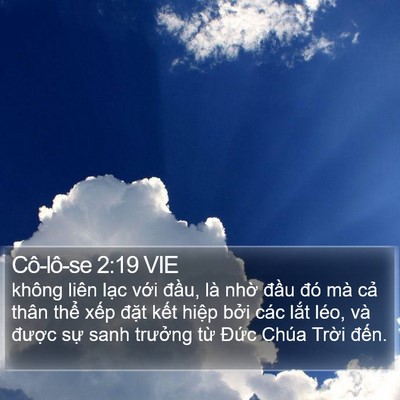 Cô-lô-se 2:19 VIE Bible Verse Image
