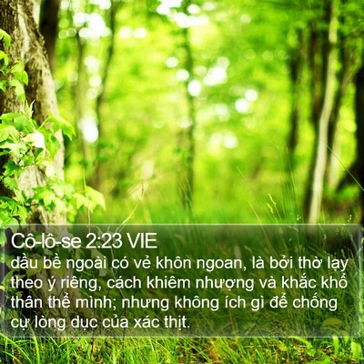 Cô-lô-se 2:23 VIE Bible Verse Image