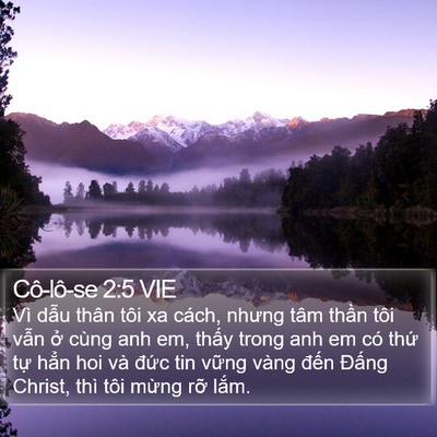 Cô-lô-se 2:5 VIE Bible Verse Image