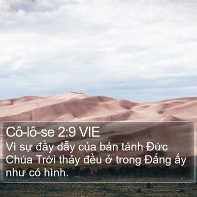 Cô-lô-se 2:9 VIE Bible Verse Image
