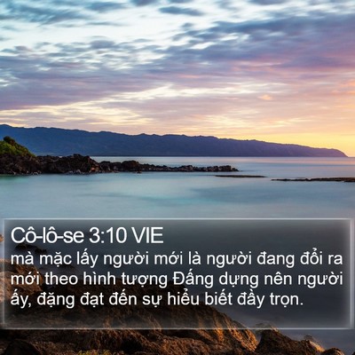 Cô-lô-se 3:10 VIE Bible Verse Image