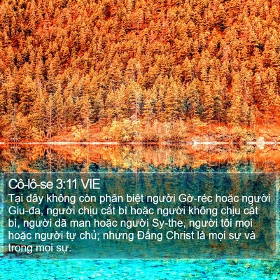 Cô-lô-se 3:11 VIE Bible Verse Image