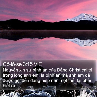 Cô-lô-se 3:15 VIE Bible Verse Image