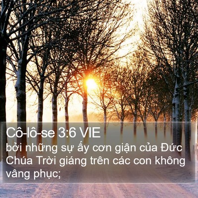 Cô-lô-se 3:6 VIE Bible Verse Image