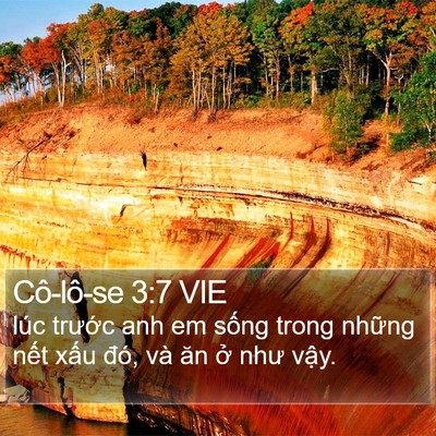 Cô-lô-se 3:7 VIE Bible Verse Image