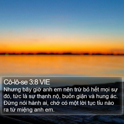 Cô-lô-se 3:8 VIE Bible Verse Image