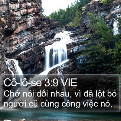 Cô-lô-se 3:9 VIE Bible Verse Image
