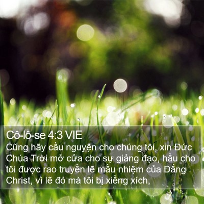 Cô-lô-se 4:3 VIE Bible Verse Image