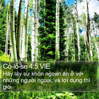 Cô-lô-se 4:5 VIE Bible Verse Image