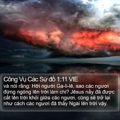 Công Vụ Các Sứ đồ 1:11 VIE Bible Verse Image