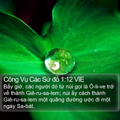 Công Vụ Các Sứ đồ 1:12 VIE Bible Verse Image