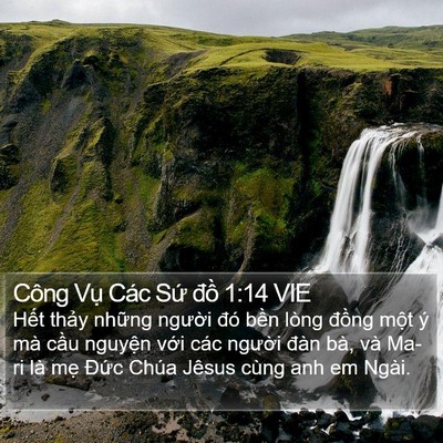 Công Vụ Các Sứ đồ 1:14 VIE Bible Verse Image