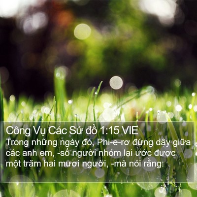 Công Vụ Các Sứ đồ 1:15 VIE Bible Verse Image