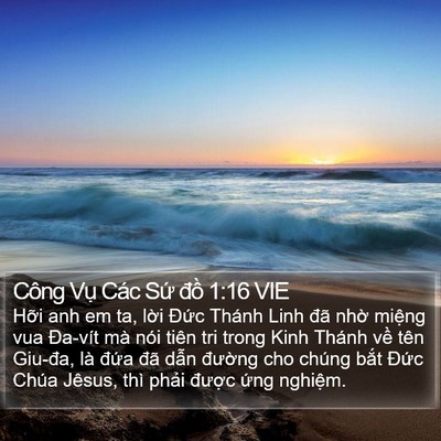 Công Vụ Các Sứ đồ 1:16 VIE Bible Verse Image