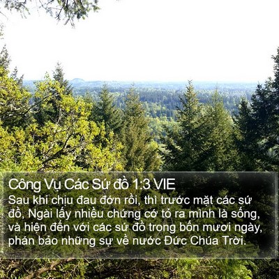 Công Vụ Các Sứ đồ 1:3 VIE Bible Verse Image