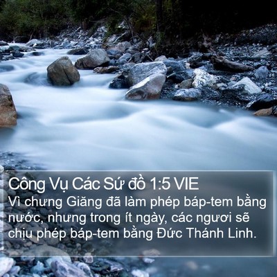 Công Vụ Các Sứ đồ 1:5 VIE Bible Verse Image