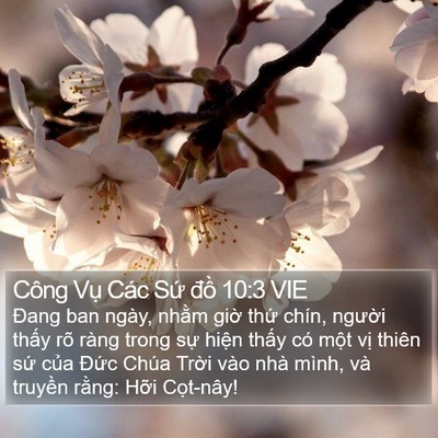 Công Vụ Các Sứ đồ 10:3 VIE Bible Verse Image