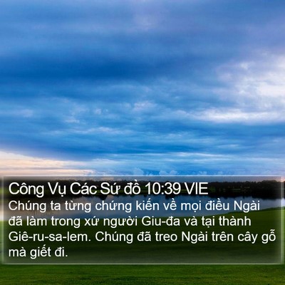 Công Vụ Các Sứ đồ 10:39 VIE Bible Verse Image