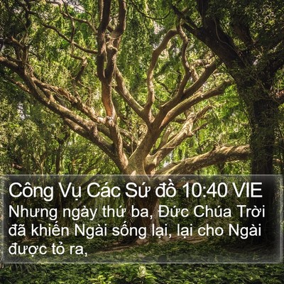 Công Vụ Các Sứ đồ 10:40 VIE Bible Verse Image