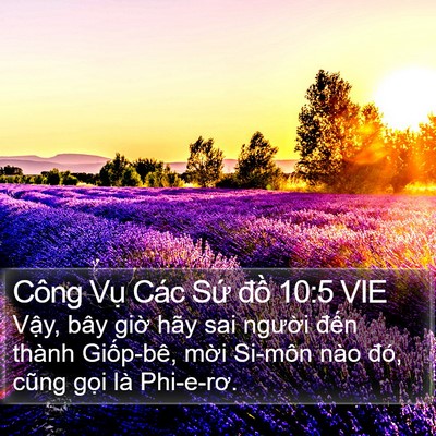 Công Vụ Các Sứ đồ 10:5 VIE Bible Verse Image