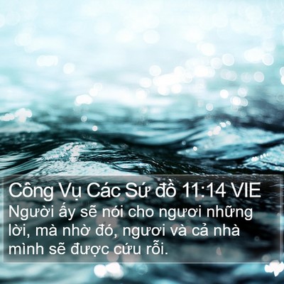 Công Vụ Các Sứ đồ 11:14 VIE Bible Verse Image