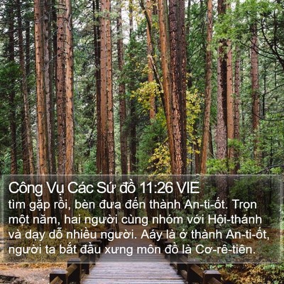 Công Vụ Các Sứ đồ 11:26 VIE Bible Verse Image