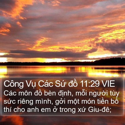 Công Vụ Các Sứ đồ 11:29 VIE Bible Verse Image