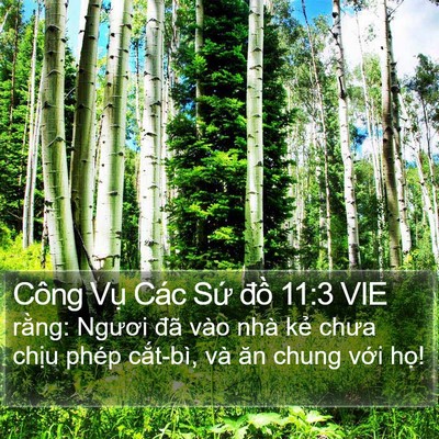 Công Vụ Các Sứ đồ 11:3 VIE Bible Verse Image