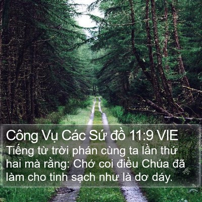 Công Vụ Các Sứ đồ 11:9 VIE Bible Verse Image