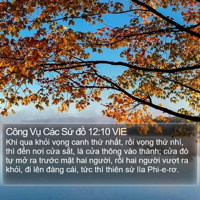 Công Vụ Các Sứ đồ 12:10 VIE Bible Verse Image